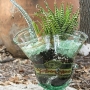 Recycled Glass Bottle Succulent Planter