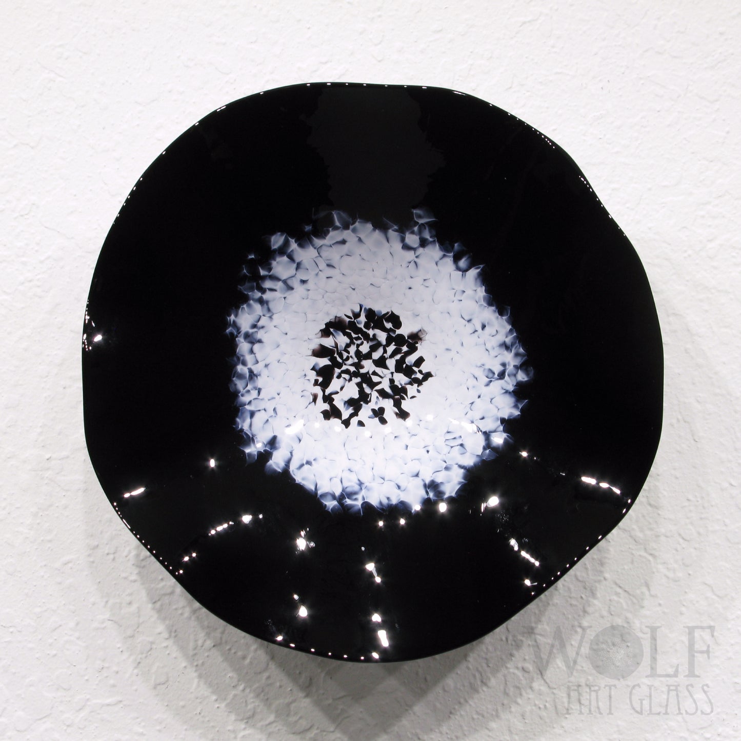 Black & White Blown Glass Wall Art Collection 5 Piece Glass Sculpture Installation