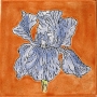 Bearded Iris Pottery Tile Trivet by Carrie Wolf