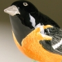 Baltimore Oriole Pottery Bird Sculpture by Carrie Wolf