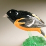 Baltimore Oriole Pottery Bird Sculpture by Carrie Wolf